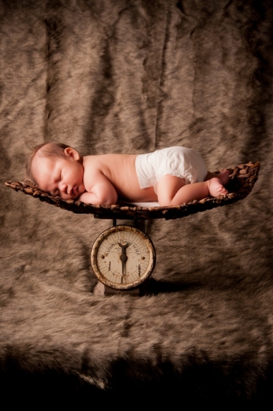 Newborn Portrait Workshop