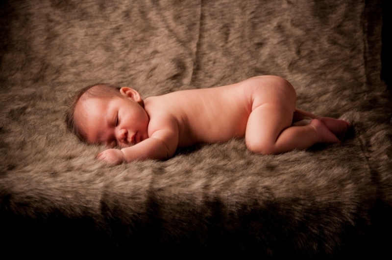 Newborn Portrait Workshop