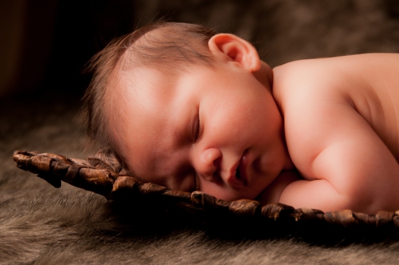 Newborn Portrait Workshop