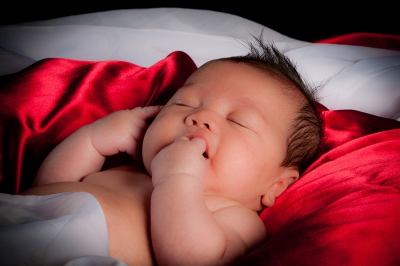 Newborn Portrait Workshop