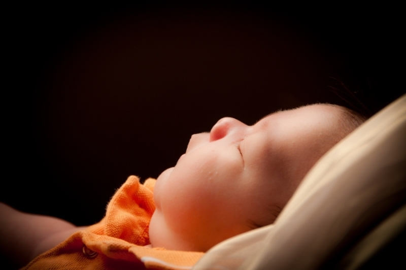 Newborn Portrait Workshop