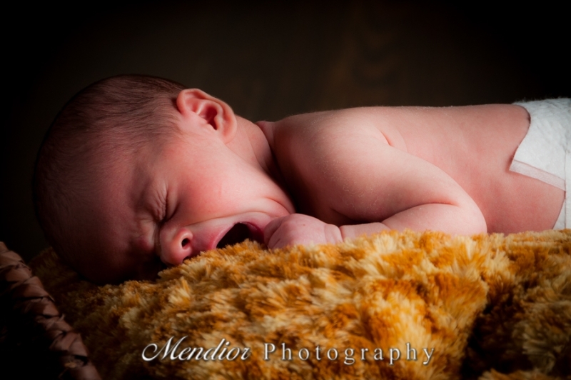 Newborn Portrait Workshop